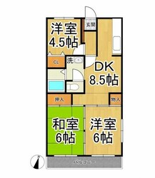 フローラ山ノ井Ａの物件間取画像